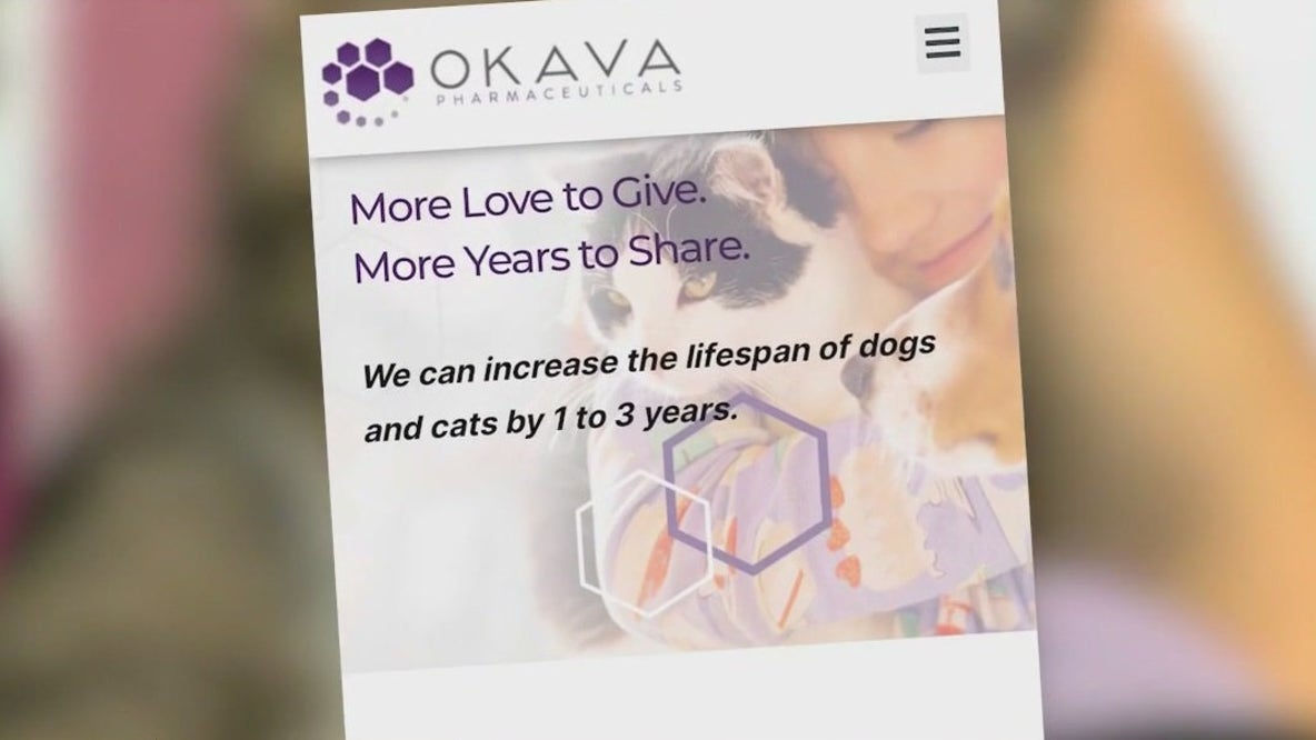 Weight loss drugs for pets?